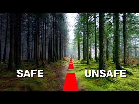 The Law that Makes This Forest DANGEROUS!