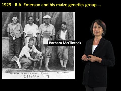 Susan Wessler (UC Riverside) Part 1: Introduction to transposable elements