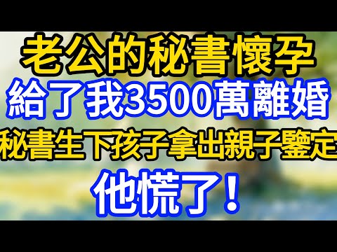 老公的秘書懷孕,給了我3500萬離婚,秘書生下孩子拿出親子鑒定,他慌了!