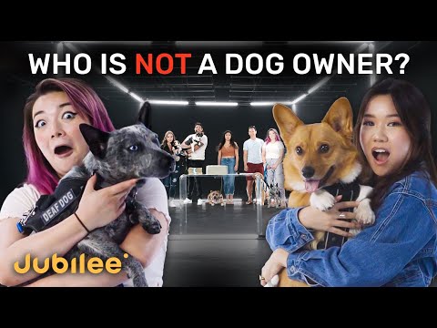 6 Dog Owners vs 1 Fake | Odd One Out