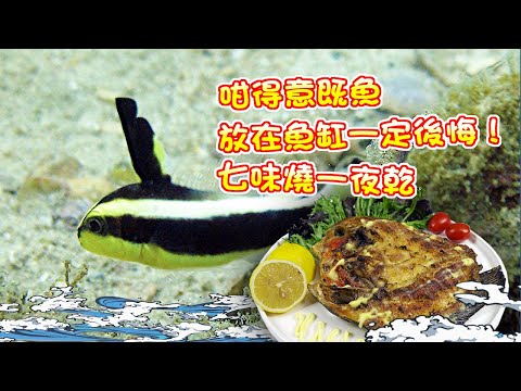 【漁人推介】香港水域 阿火帶大家出海打魚,咁得意既魚,可以大到15斤?出太陽曬一夜乾?回家製作七味燒一夜乾,Catch and Cook Recipe: Fried Semi-dried Fish