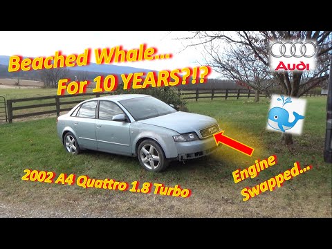 Audi DEAD for 10 YEARS!? (A4 Turbo: No-Start after Engine SWAP?)