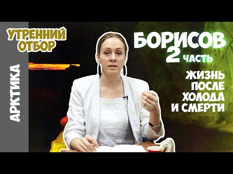 Жизнь после Холода и Смерти. Художник Борисов. Яна Шклярская