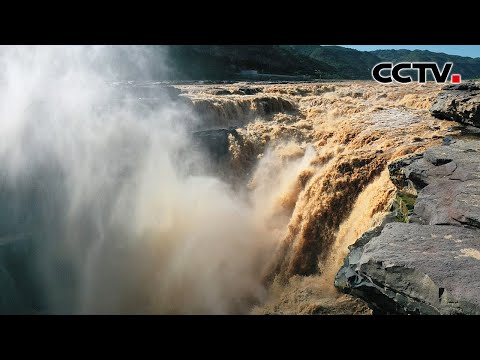 震撼!水量大增,黄河壶口瀑布再现壮美瀑布群 | CCTV