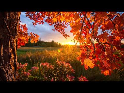 Peaceful Autumn Music for Relaxation ๐ Beautiful Relaxing Music for Stress Relief, Calm Nervous