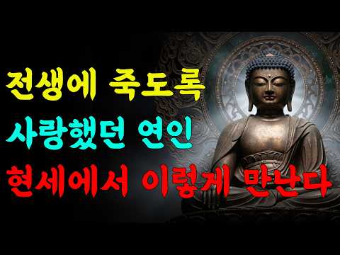 전생에 죽도록 사랑했던 연인 현생에서 이렇게 만난다 | 부처님 말씀 | 석가모니 가르침 | 삶의 지혜