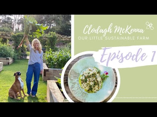 Our Little Sustainable Farm - Episode 1