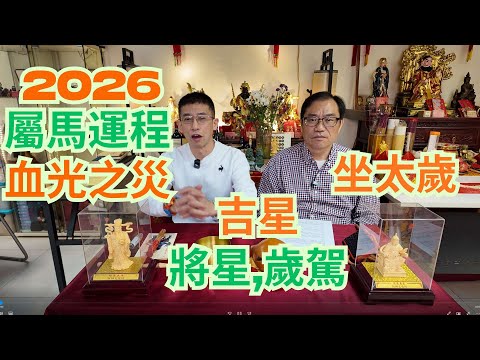 2026十二生肖屬馬運程/ 血光之災 / 吉星-將星,歲駕 / 攝大歲,祭白虎 / 小人多😱😱/