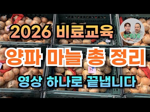 양파·마늘 농사, 비료 이렇게 주면 무조건 성공합니다(총 정리) | 농업전문가가 알려주는 양파·마늘 재배