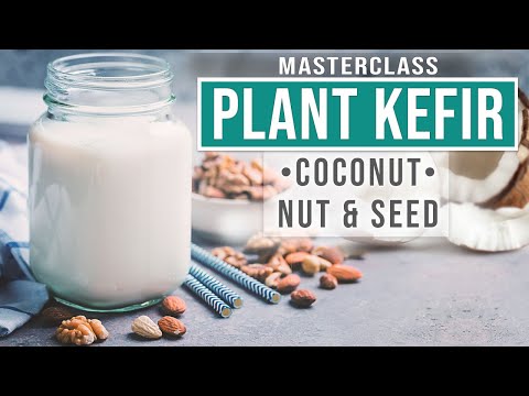 DAIRY FREE KEFIR : Better Than Yogurt + Billions of Probiotics