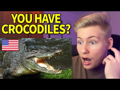 German reacts to the Top 10 Most Dangerous Animals in America