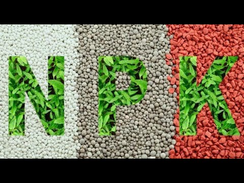 Как определить качество удобрений в домашних условиях