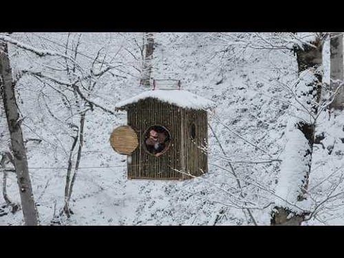 building a hut at an altitude of 48 meters in a snowy, harsh forest!