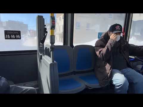 How to use public buses in Canada
