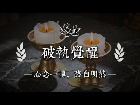 金剛經不是教你放下,而是教你醒來|佛說心語 #修行 #國學 #人生感悟 #治癒