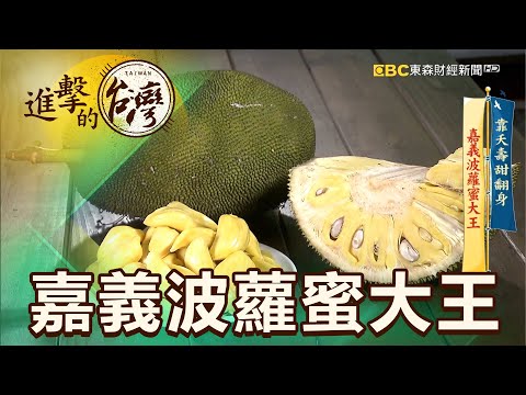 靠夭壽甜翻身 嘉義波蘿蜜大王 第394集《進擊的台灣》part4|徐世珍