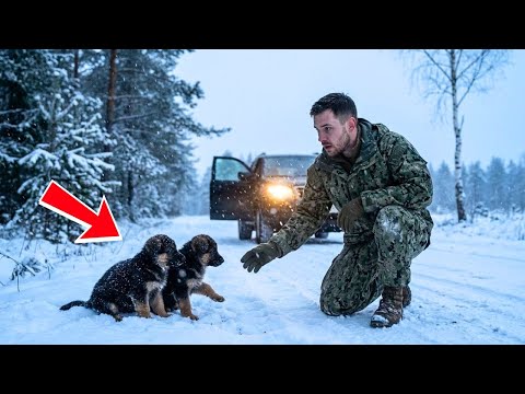 A Navy SEAL Saved Two Puppies From the Cold. But What Grew Beside Them Would Haunt Him Forever.