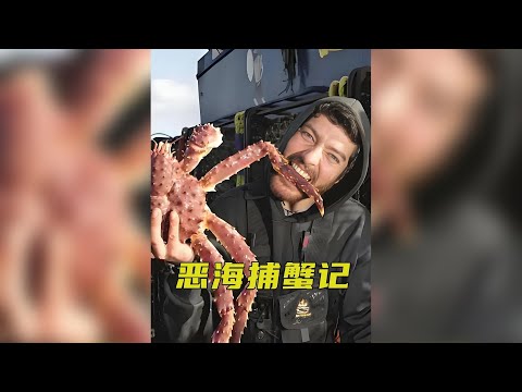 白令海捕帝王蟹收入高風險大,在船艙時間太長容易造成大量損失 #帝王蟹 #惡海捕蟹記 #漁民生活實拍 #紀錄片