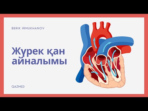 Жүрек қан айналымы