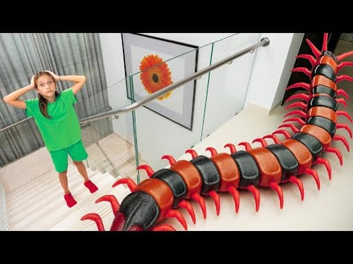 집에서 벌레 잡기! 신기한 곤충 사실과 소리 🐞🎶