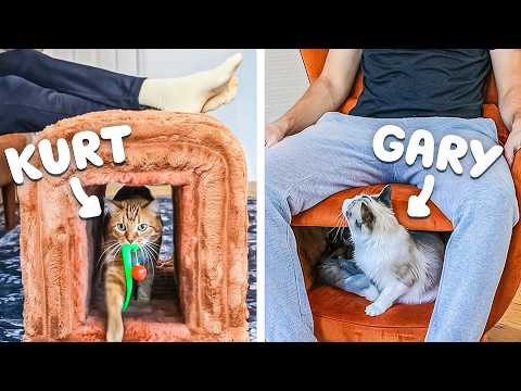 Testing Furniture that has Secret Cat Hideouts