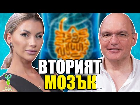 Вторият мозък - разговор с д-р Виктор Камбуров | Via Clinics