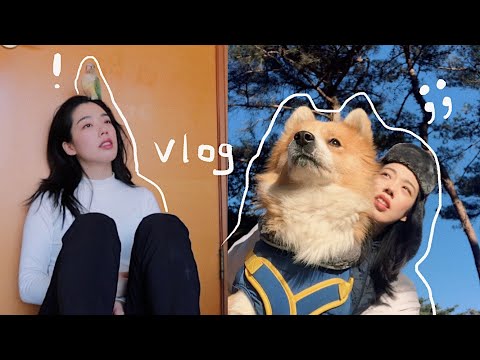 #189 Vlog I 개새(🐶🦜) 데리고 시골 생활하기 힘든 브이로그 I 지랄조 I 개싸움 I 집밥 I 책 추천 I 김갈릭