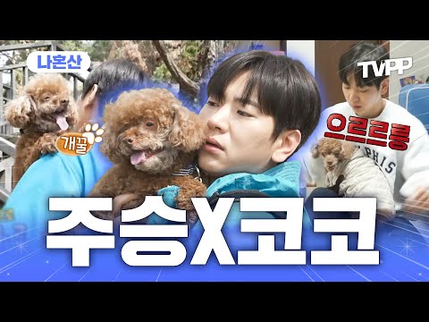 【#TVPP】가깝지만 먼 둘 사이💗 주승X코코 친해지길 바라 | 나혼자산다 | TVPP | MBC 250124 방송
