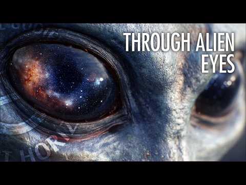 Unsettling Ways Aliens Could Understand the Universe | Daniel Whiteson