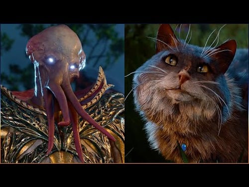 Illithid God Gale getting roasted by our favorite tressym Tara