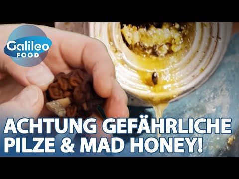 GEFÄHRLICHER Honig & Giftpilz? Verrückte Food-Challenges am Limit! ⚠️| Galileo Food