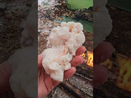 Making a deer tallow candle