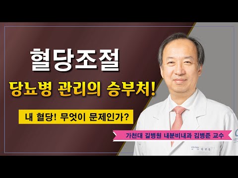 혈당조절 잘하는 방법 ✔ 당뇨병 궁금증 해결 / 가천대 길병원 내분비내과 김병준 교수