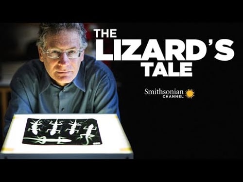 The Lizard's Tale 103: Anoles In Deep Time