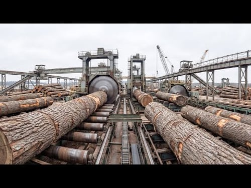 The Complete Process: From Wood to Works of Art