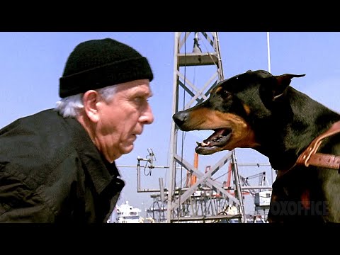 All the Best GAGS from Naked Gun β‘ 4K