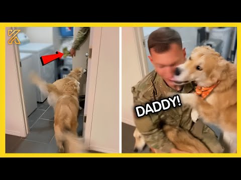 💕FULL Most Emotional Animal Reunions With Their Loved Ones That Will Melt Your Heart 💘