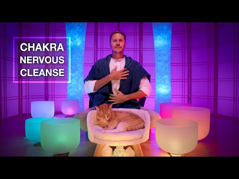 FULL **NERVOUS SYSTEM** CHAKRA ALIGNMENT