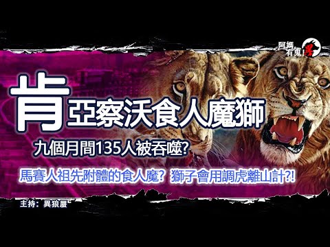 肯亞察沃食人魔獅【恐怖過鬼EP018】九個月間135人被吞噬? 馬賽人祖先附體的食人魔?獅子會用調虎離山計?! |天災人禍獸殺|不解之迷|未知生物