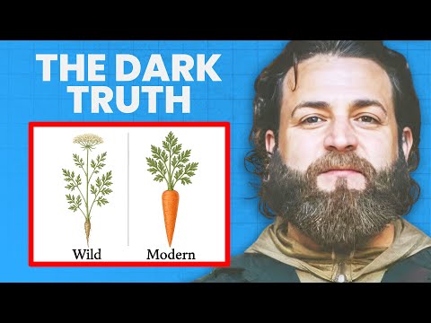 If YOU Eat Plants, You CAN'T Miss This | Daniel Vitalis