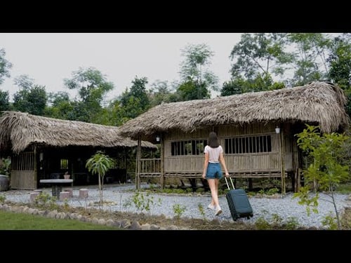 365 Days Alone 16-Year-Old Orphan Girl Builds House /TIMELAPSE from Start To Finish