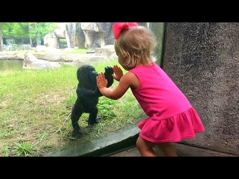 When Your Baby Visits the Zoo for the First Time π¦ Baby and Animals