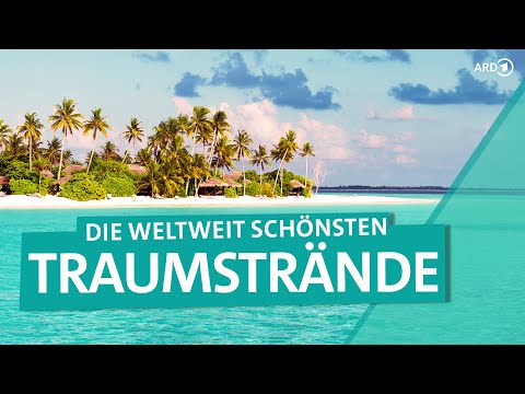 Traumstrände weltweit: Copacabana, Bondi und Miami Beach | ARD Reisen