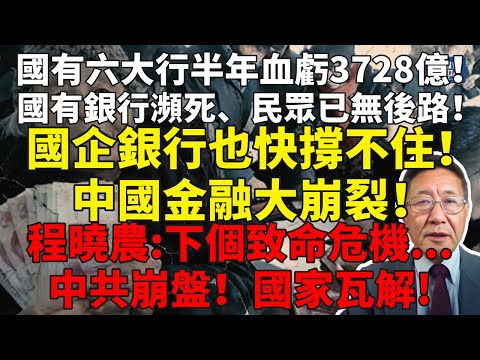 國有六大行半年血虧3728億!國有銀行瀕死,民眾已無後路!當國企銀行也快撐不住!中國金融大崩裂!程曉農:下個致命危機,國家瓦解!#程曉農#中国经济#民不聊生#楼市崩盘#中国崩溃#社會動盪#中共崩潰
