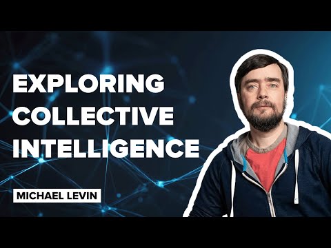 The Future of Understanding - Michael Levin | 08