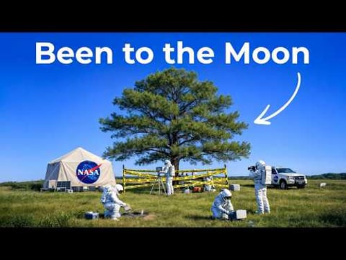 The Hunt for NASA's Missing Moon Trees