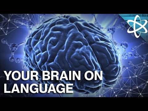 How Does Language Change Your Brain?