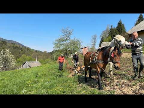 Mountain Life: Planting Potatoes with Grandma & Grandpa β°οΈπ₯