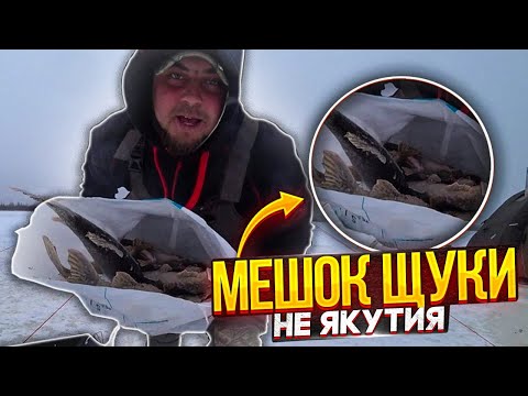 FIRST ICE! FILLED A BAG OF PIKE TO TAKE HOME \ TIP-UPS WORKED ONE HUNDRED PERCENT \ PERCH ON A SP...