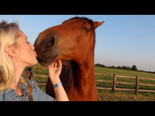 THE VLOG YOU HAVE ALL ASKED FOR! A MAGICAL GARDEN TOUR & MEET MY HORSES